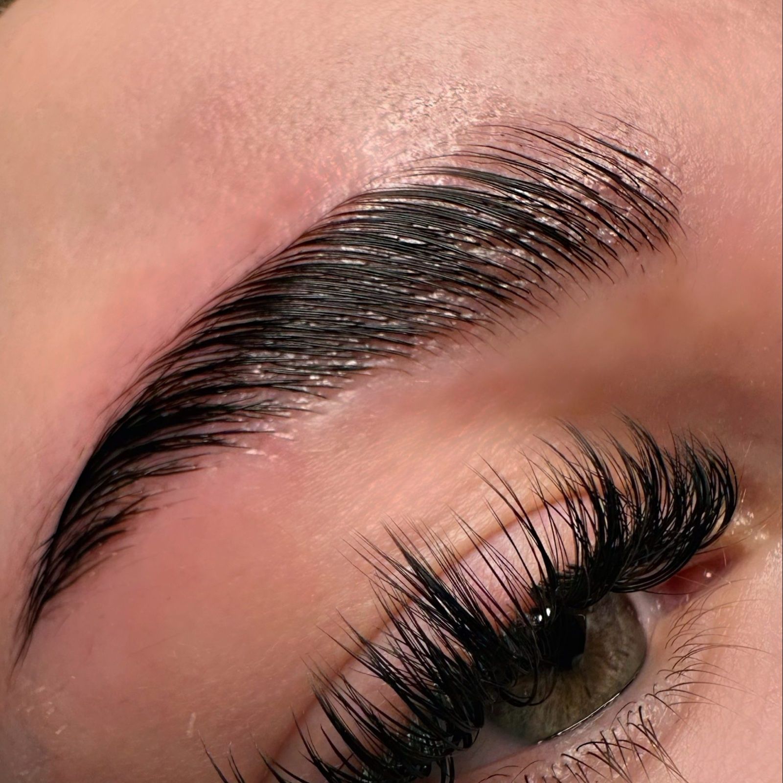 Augenbraue nach einem Brow Lifting, in Form gebracht und gefärbt