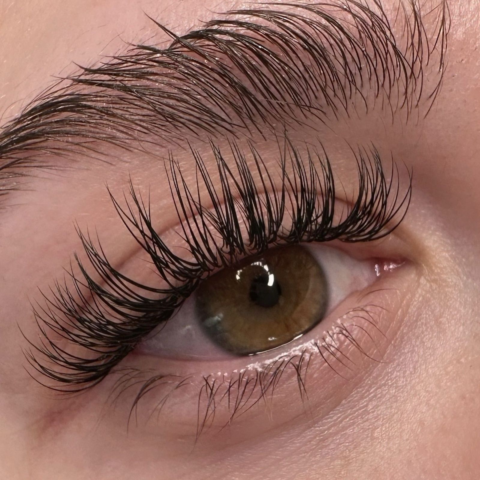 Whispy-Wimpern an einem braunen Auge